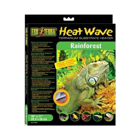 Heat Wave Rainforest