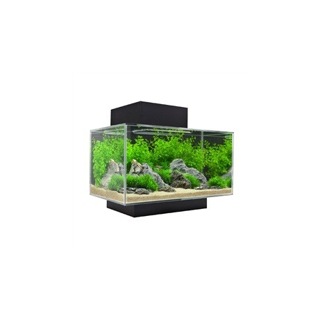 Fluval Edge