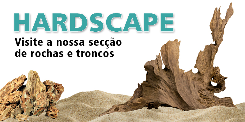 Secção de Hardscape, com rochas, troncos e substratos